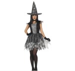 silver witch